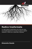 Radice trasformata