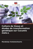 Culture de tissus et études de transformation génétique sur Cucumis melo.L