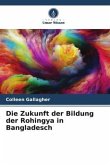 Die Zukunft der Bildung der Rohingya in Bangladesch