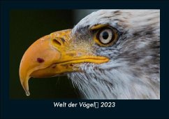 Welt der Vögel 2023 Fotokalender DIN A5 - Tobias Becker