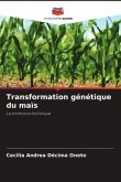 Transformation génétique du maïs