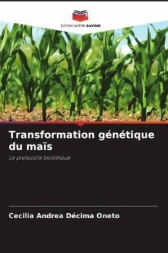 Transformation génétique du maïs - Décima Oneto, Cecilia Andrea