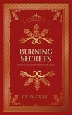 Burning Secrets (eBook, ePUB)