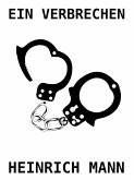 Ein Verbrechen (eBook, ePUB)