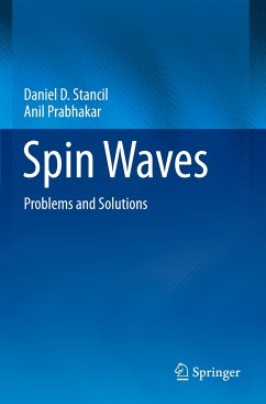 Spin Waves - Stancil, Daniel D.;Prabhakar, Anil