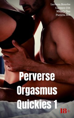 Perverse Orgasmus Quickies 1 (eBook, ePUB) - Bouche, Lariana; Clit, Carmen; Öse, Mandy; Hot, Pamela