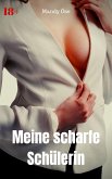 Meine scharfe Schülerin (eBook, ePUB)