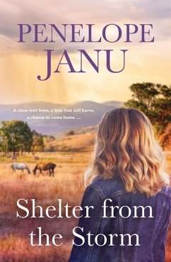 Cover Shelter from the Storm (eBook, ePUB)