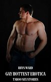 Gay Hottest Erotica (eBook, ePUB)