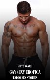 Gay Sexy Erotica (eBook, ePUB)