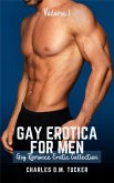 Gay Erotica for Men - Volume 1 (eBook, ePUB)