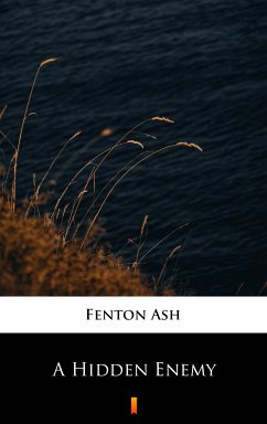 A Hidden Enemy (eBook, ePUB) - Ash, Fenton