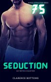 Seduction - Gay Erotica Collection (eBook, ePUB)