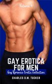 Gay Erotica for Men - Volume 4 (eBook, ePUB)