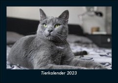 Tierkalender 2023 Fotokalender DIN A5 - Tobias Becker