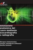 Valutazione anatomica del cuore mediante ecocardiografia e radiografia