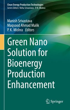 Green Nano Solution for Bioenergy Production Enhancement (eBook, PDF)