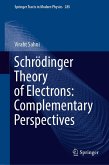 Schrödinger Theory of Electrons: Complementary Perspectives (eBook, PDF)