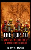 The Top 10 Worst Wildfires in American History (eBook, ePUB)