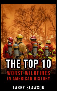 The Top 10 Worst Wildfires in American History (eBook, ePUB) - Slawson, Larry