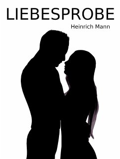 Liebesprobe (eBook, ePUB)