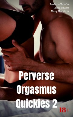 Perverse Orgasmus Quickies 2 (eBook, ePUB) - Bouche, Lariana; Feucht, Lissy; Hotstone, Mary