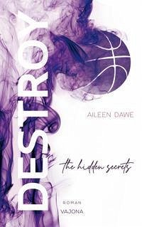 DESTROY the hidden secrets (DESTROY-Reihe 1) - Dawe, Aileen
