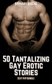 50 Tantalizing Gay Erotic Stories (eBook, ePUB)