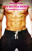 Gay Erotica Shorts - Volume 2 (eBook, ePUB)