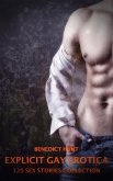 Explicit Gay Erotica - Volume 2 (eBook, ePUB)