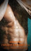 Explicit Gay Erotica - Volume 3 (eBook, ePUB)