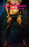 Gay Erotica Shorts - Volume 1 (eBook, ePUB)