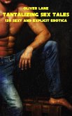 Tantalizing Sex Tales - Volume 3 (eBook, ePUB)