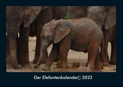 Der Elefantenkalender 2023 Fotokalender DIN A4 - Tobias Becker