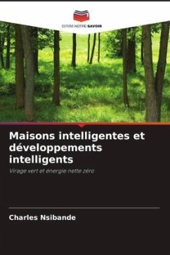 Maisons intelligentes et développements intelligents - Nsibande, Charles