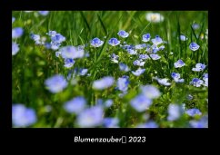 Blumenzauber 2023 Fotokalender DIN A3 - Tobias Becker