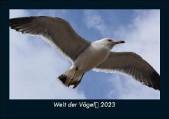 Welt der Vögel 2023 Fotokalender DIN A5 - Tobias Becker