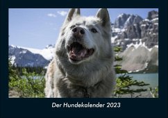 Der Hundekalender 2023 Fotokalender DIN A4 - Tobias Becker