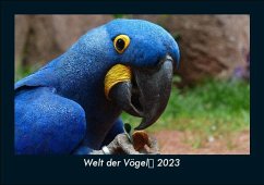 Welt der Vögel 2023 Fotokalender DIN A5 - Tobias Becker