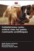 Cathétérisme cysto-urétral chez les petits ruminants urolithiques