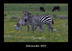 Zebrazauber 2023 Fotokalender DIN A3