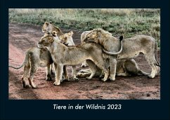 Tiere in der Wildnis 2023 Fotokalender DIN A4 - Tobias Becker