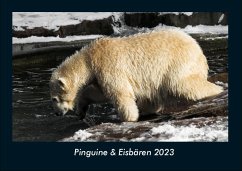 Pinguine & Eisbären 2023 Fotokalender DIN A4 - Tobias Becker