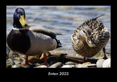 Enten 2023 Fotokalender DIN A3 - Tobias Becker