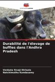 Durabilité de l'élevage de buffles dans l'Andhra Pradesh