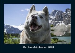 Der Hundekalender 2023 Fotokalender DIN A4 - Tobias Becker