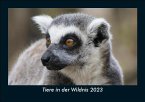 Tiere in der Wildnis 2023 Fotokalender DIN A5