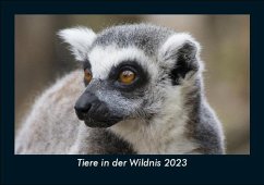 Tiere in der Wildnis 2023 Fotokalender DIN A5 - Tobias Becker