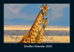 Giraffen Kalender 2023 Fotokalender DIN A4