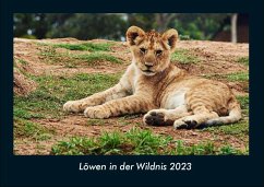 Löwen in der Wildnis 2023 Fotokalender DIN A4 - Tobias Becker